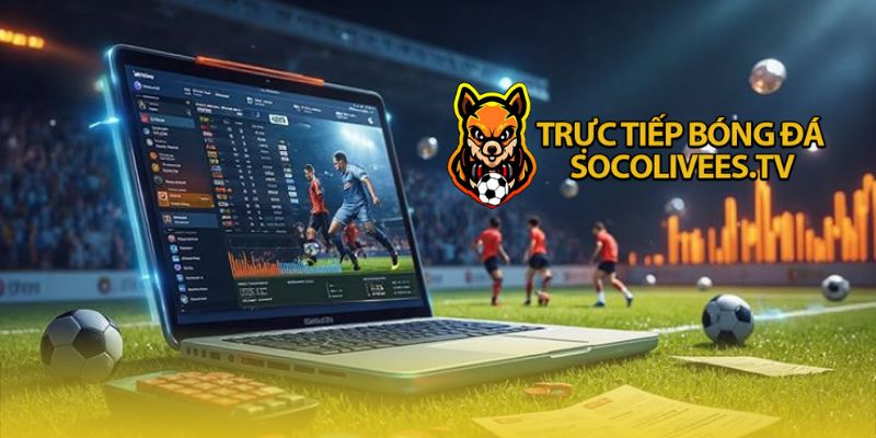 Những thông số quan trọng trên bảng xếp hạng bóng đá Socolive Những thông số quan trọng trên bảng xếp hạng bóng đá Socolive